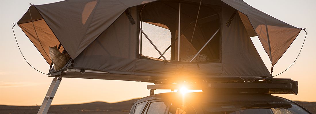 Dachzelt im Sonnenuntergang mit Katze