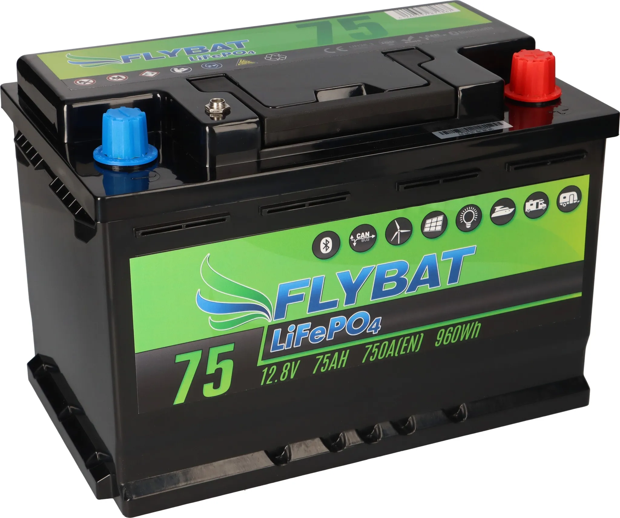 12v75bvd